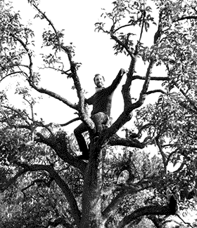 Kill Your Master, un projet porté par Sébastien Brault